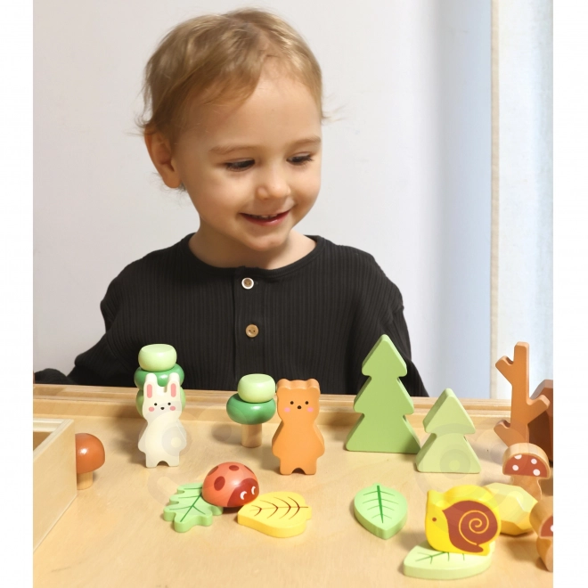 Lesní sada s dřevěnými kostkami Tooky Toy