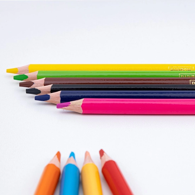 ASTRA Pastelky Rainbow High JUMBO 10ks