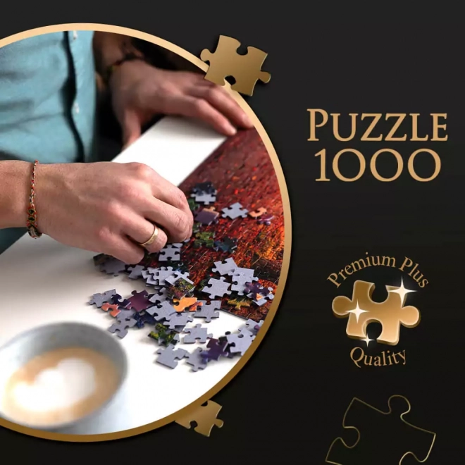 Puzzle 1000 dílků Kvalita Premium Plus Město Riomaggiore Itálie