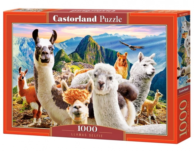 Puzzle 1000 dílků Llamas Selfie