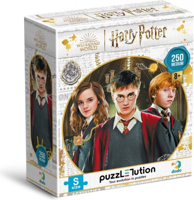 Puzzle DODO Harry Potter: Harry, Ron a Hermiona 250 dílků