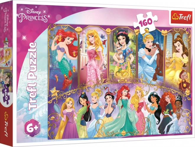 Puzzle Disney Princezny 160 dílků - Portréty Princezen