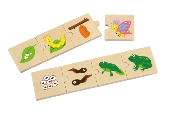 Dřevěné puzzle - evoluce