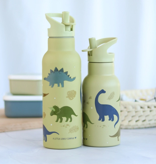 A Little Lovely Company Nerezová lahev na pití 500 ml – Dinosauři