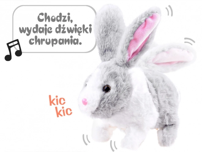 Interaktivní králíček s mrkvičkou – Šedá