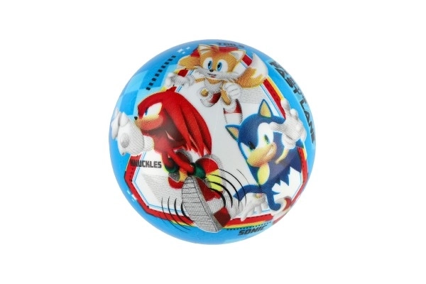 Míč ježek SONIC 14 cm