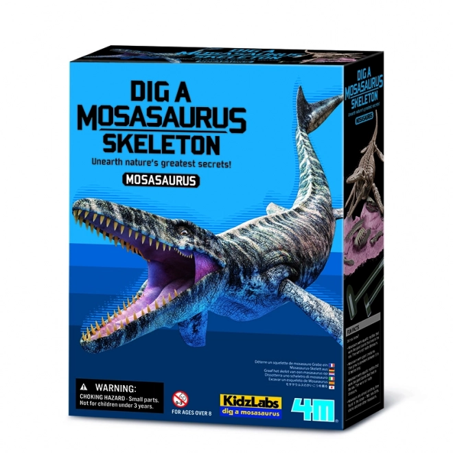 4M Mosasaurus Kostra