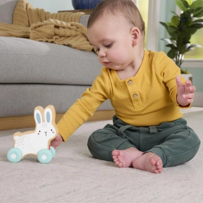 Fisher-Price Dřevěný zajíček na kolečkách