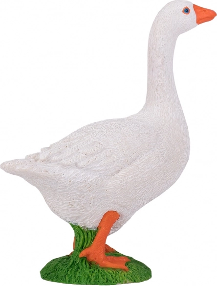 Všestranné využití