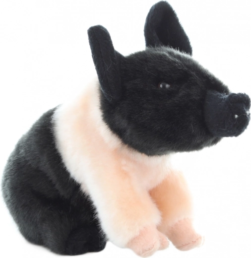 Bezpečné od narození