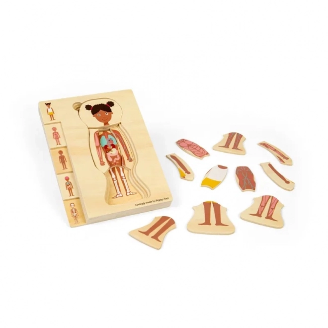 Dřevěné puzzle Anatomie dívka