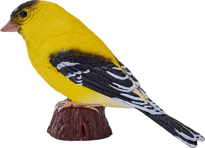 Věrná podoba čížka žlutého