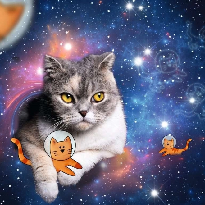 Puzzle Kočka ve vesmíru 1500 dílků