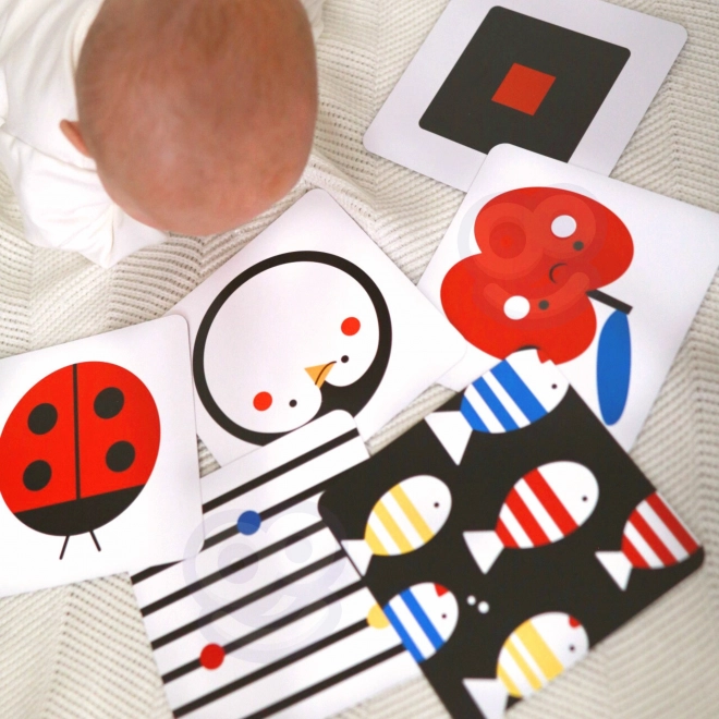 Montessori XXL vzdělávací box 7v1 TOOKY TOY