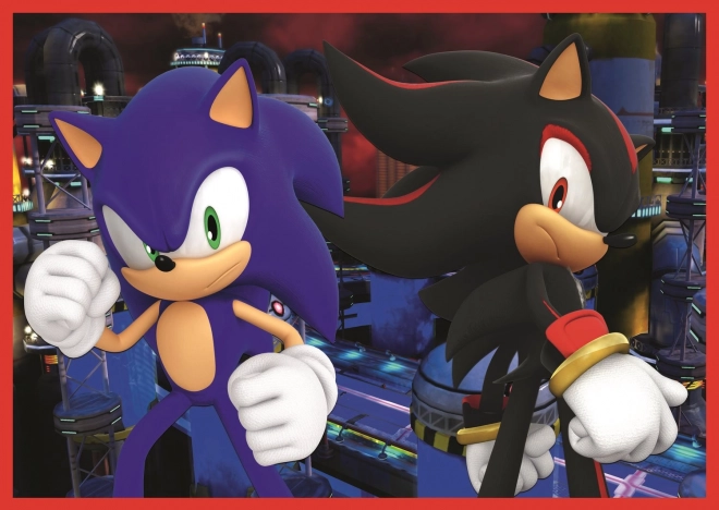 Puzzle 4v1 Sonic/Sonic The Hedgehog 28,5x20,5cm v krabici 28x28x6cm
