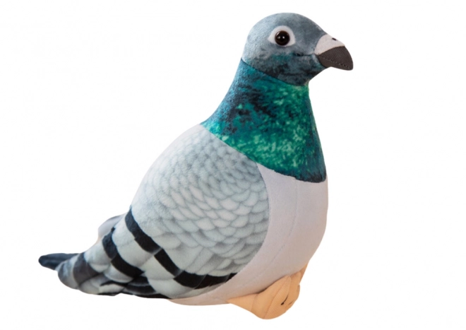 Plyšový holub hřivnáč šedý 20 cm