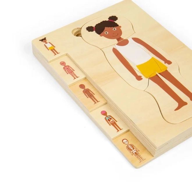 Dřevěné puzzle Anatomie dívka