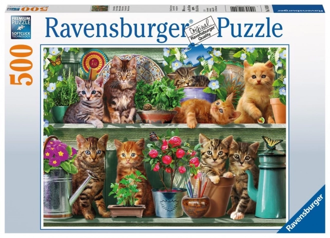 Puzzle Kočky na poličkách 500 dílků