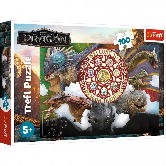 Puzzle 100 dílků Draci v akci