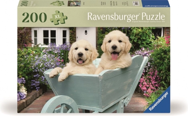 Puzzle Zlatí retrívři 200 dílků od Ravensburger