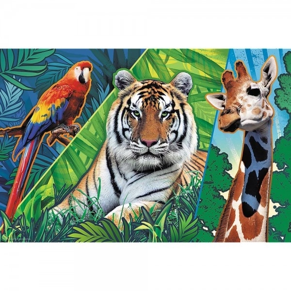 Puzzle 300 dílků Amazing Animals Animal Planet