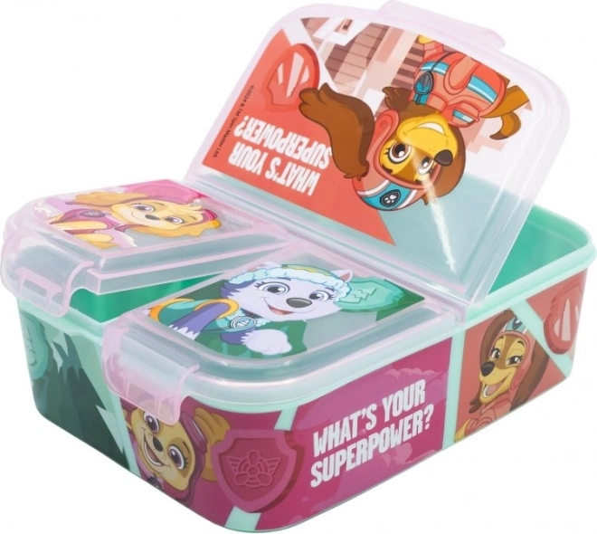 Multi box s motivem tlapková patrola - dívčí síla