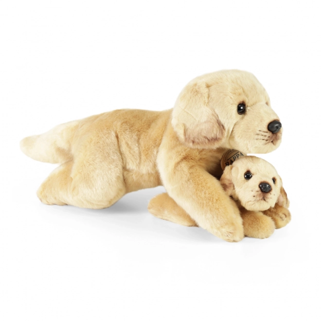 Plyšový pes Labrador s mládětem ležící 25 cm