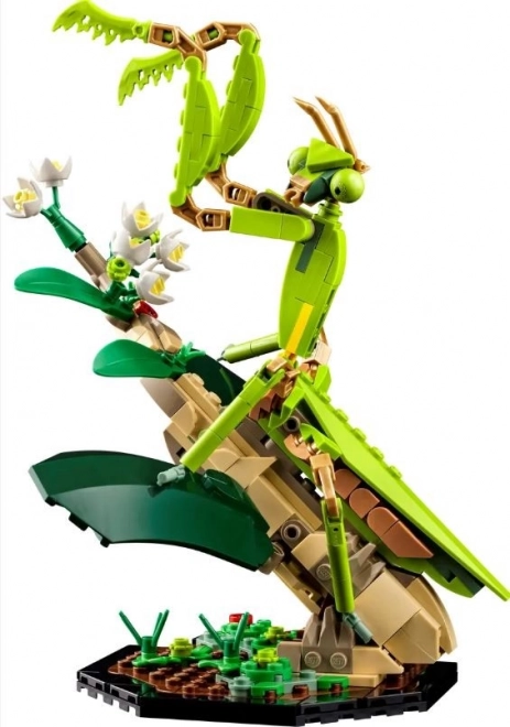 LEGO® Ideas 21342 Hmyzí kolekce