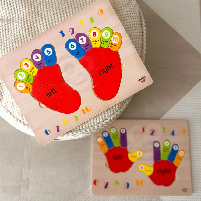 Tooky Toy dřevěná vzdělávací skládačka nožičky pro učení počítání a barev