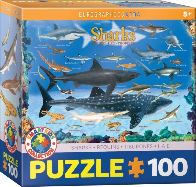 Puzzle Žraloci 100 dílků