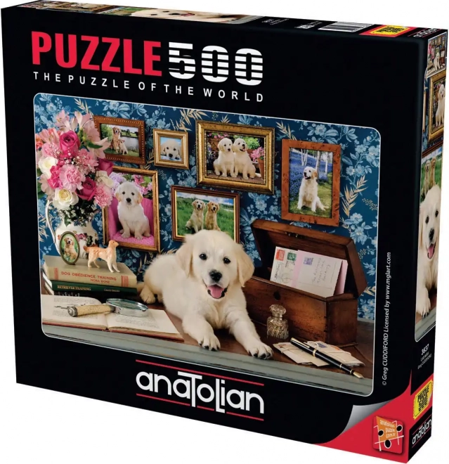 Puzzle Labrador 500 dílků