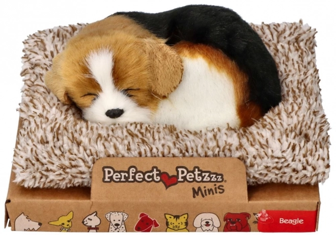 Štěkající beagle na pelíšku