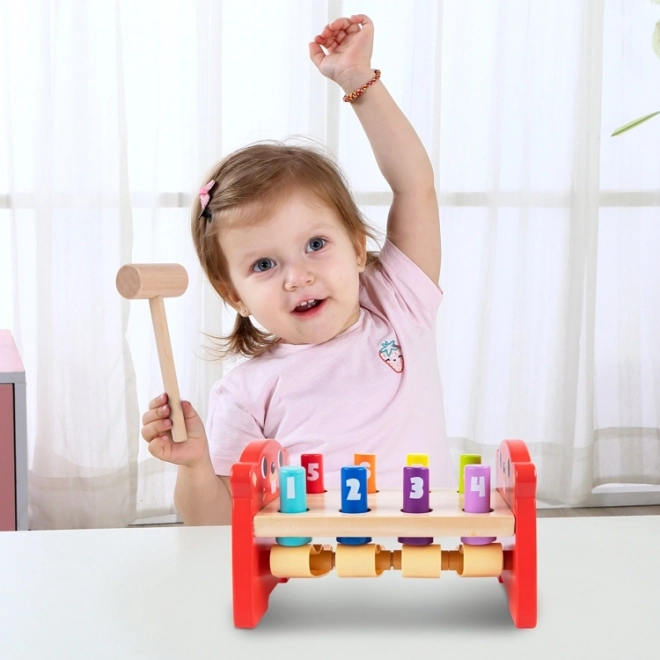 Dřevěná barevná hračka Pronikavá od Tooky Toy