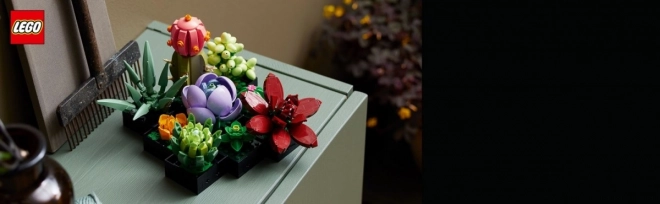 LEGO Botanické ikony 10309 Sukulenty