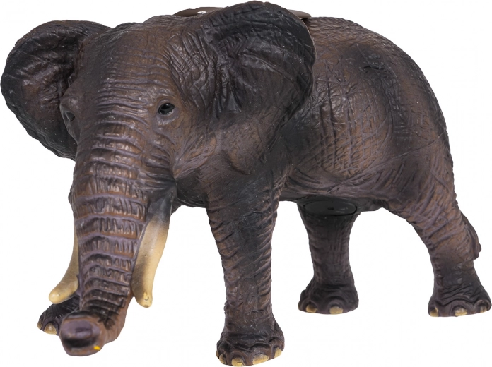 Realistické detaily a robustní provedení