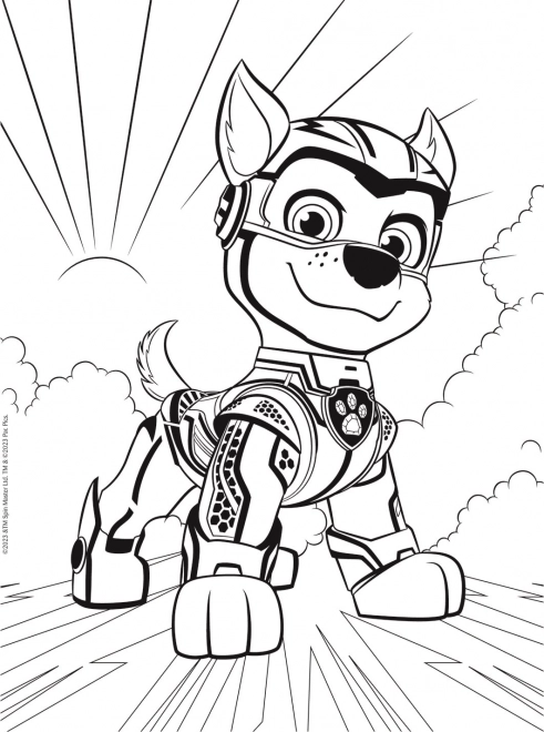 Puzzle MAXI oboustranné 2x10 dílků Hrdinští psi Tlapková patrola/Paw patrol v krab. 40x27x6cm 24m+