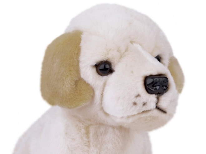 Maskot plyšový labrador sedící 20cm 13475
