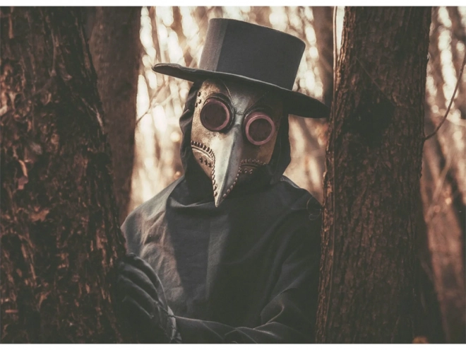 Halloweenská maska morového doktora