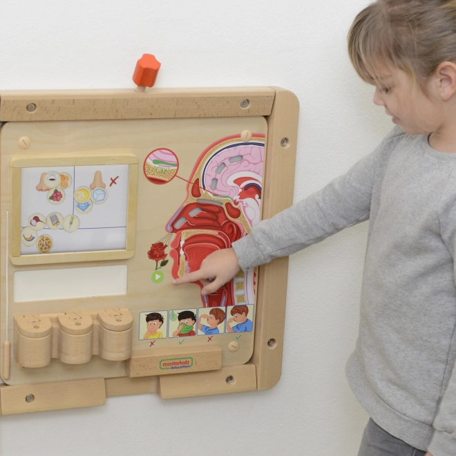 Vzdělávací tabule Montessori - Čich