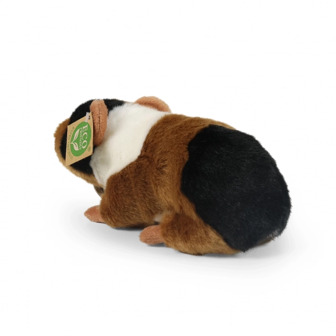 Plyšové morče od Rappa 22 cm ekologické