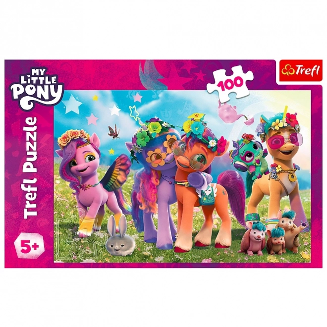 Veselé puzzle My Little Pony 100 dílků