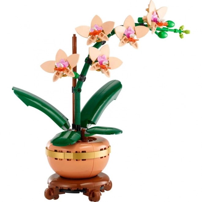 Lego Botanicals Malá Orchidej