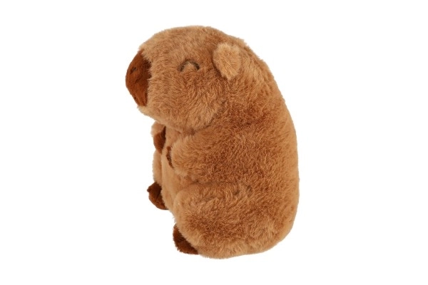Plyšová Kapybara 22 cm