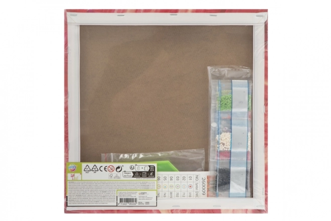 GRAFIX Diamantové malování na rámu Motýl 30x30cm