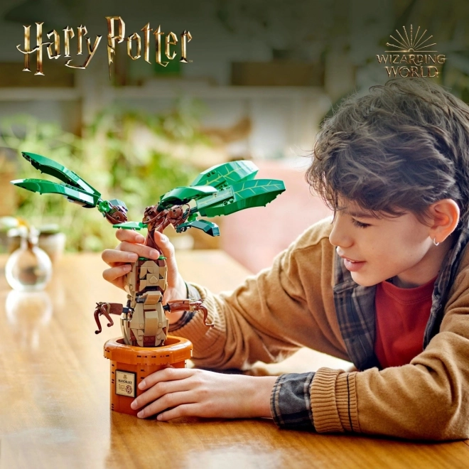 Stavebnice LEGO Harry Potter Mandragora