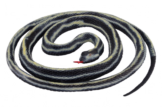 Strečový had stočený
