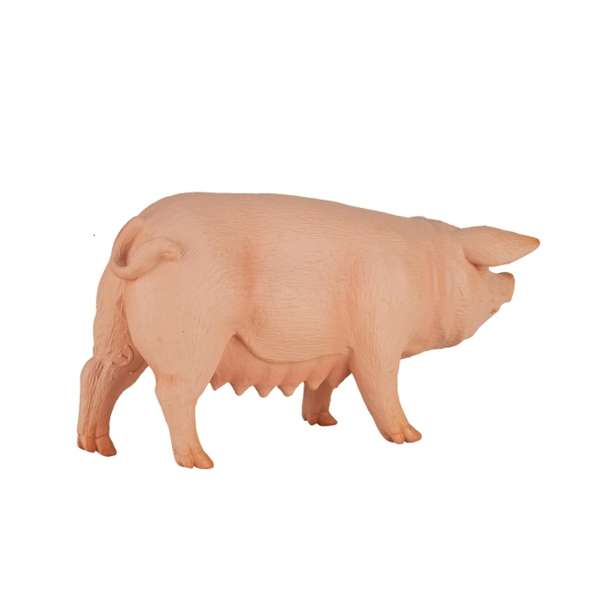 Ideální pro vzdělávací účely