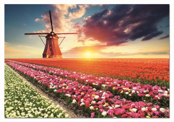 Puzzle Země tulipánů 1500 dílků od EDUCA