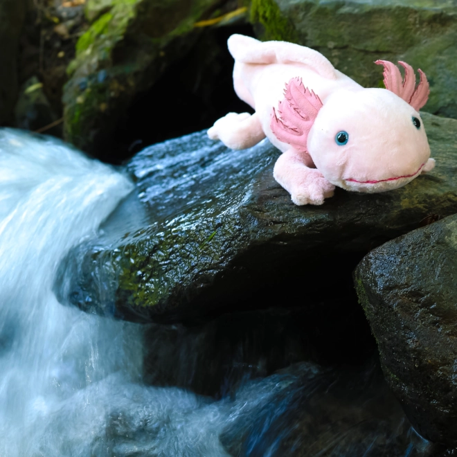 Plyšový axolotl 33 cm ECO-FRIENDLY