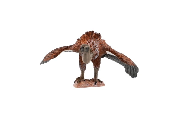 Skvělá pomůcka pro výuku o přírodě